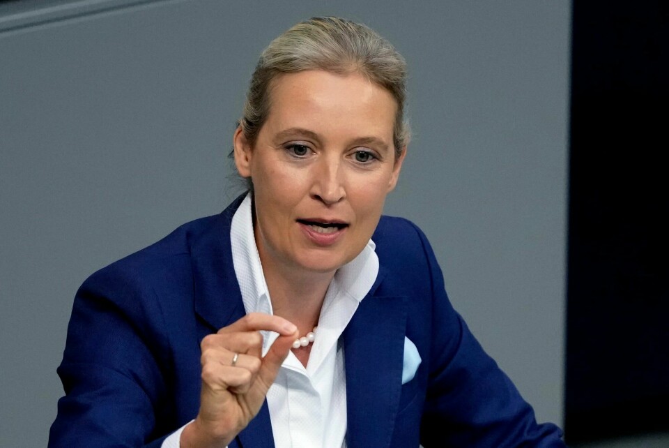 Alice Weidel er leder i Alternative für Deutschland (AfD).(Markus Schreiber/AP) Alice Weidel er leder i Alternative für Deutschland (AfD).