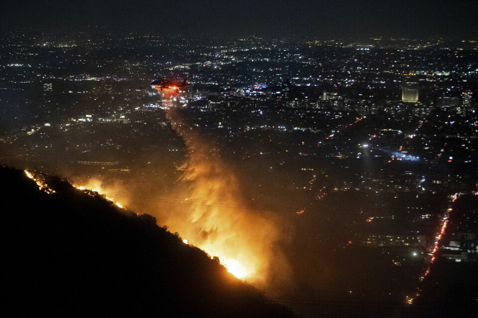 Et helikopter tømmer vann over Sunset-brannen i Hollywood Hills i Los Angeles onsdag. Et helikopter tømmer vann over Sunset-brannen i Hollywood Hills i Los Angeles onsdag. Foto: Ethan Swope / AP / NTB