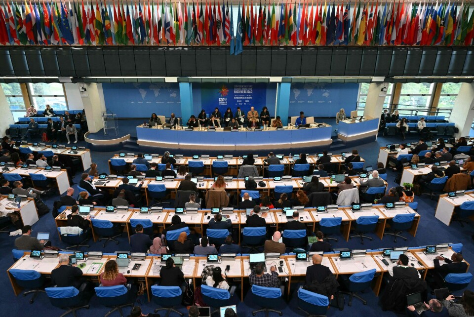 Delegatene fra mange land klarte ikke å bli enige i Colombia i november, men kom til en enighet under naturtoppmøtet i Roma. Delegatene fra mange land klarte ikke å bli enige i Colombia i november, men kom til en enighet under naturtoppmøtet i Roma.