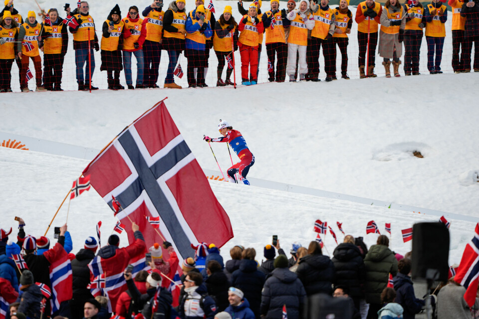 Johannes Høsflot Klæbo fosser fram foran sin gulkledde fanklubb i Granåsen. Johannes Høsflot Klæbo fosser fram foran sin gulkledde fanklubb i Granåsen.