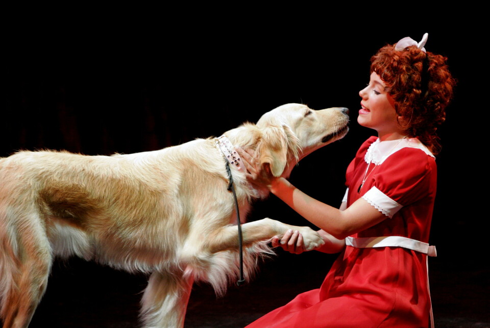 Suksessmusikalen «Annie» er satt opp flere ganger også i Norge. En ung Tomine Harket spilte tittelrollen både i den opprinnelige musikalen og senere i oppfølgeren «Annie 2», som dette biledet er fra. Suksessmusikalen «Annie» er satt opp flere ganger også i Norge. En ung Tomine Harket spilte tittelrollen både i den opprinnelige musikalen og senere i oppfølgeren «Annie 2», som dette biledet er fra. Arkivfoto: Jarl Fr. Erichsen / NTB