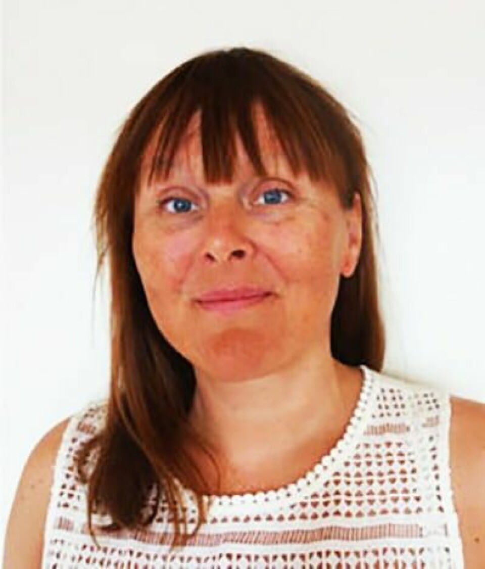 Solveig Ragnhild Brandal er universitetslektor i norsk ved Universitetet i Søraust-Noreg (USN).(Simon Oskar Brandal) Solveig Ragnhild Brandal, universitetslektor i norsk ved Universitetet i Søraust-Noreg (USN)