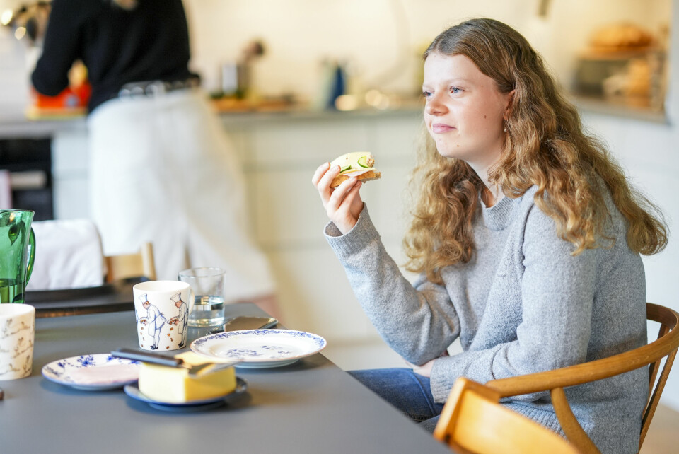 Vitenskapskomiteen for mat og miljø (VKM) har ikke funnet forskning på langtidseffekter av konsistensmidler på mage-tarmkanalen. Vitenskapskomiteen for mat og miljø (VKM) har ikke funnet forskning på langtidseffekter av konsistensmidler på mage-tarmkanalen. Foto: Lise Åserud / NTB