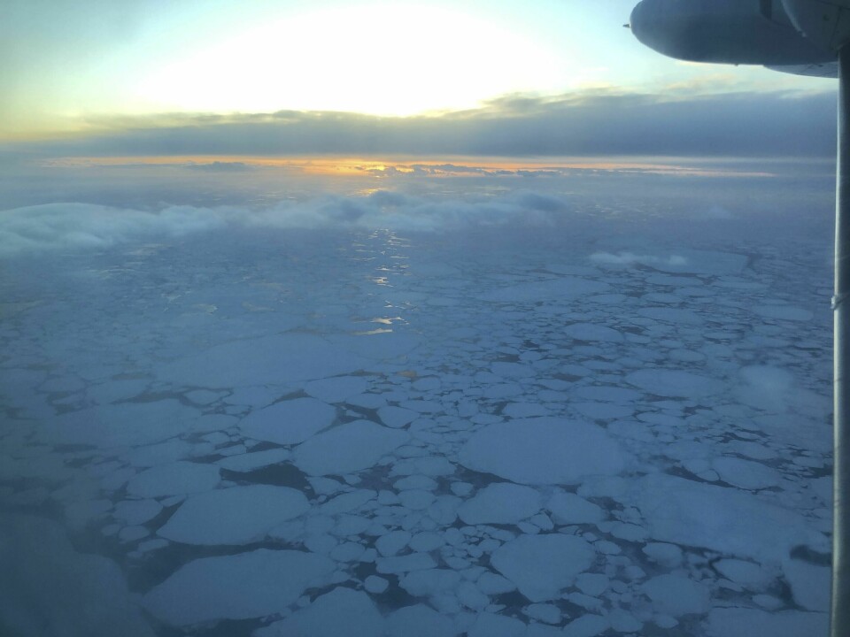 Havisen i Arktis nådde sitt laveste toppnivå noensinne forrige uke, ifølge Nasa og USAs senter for snø- og isdata. Arkivfoto. Havisen i Arktis nådde sitt laveste toppnivå noensinne forrige uke, ifølge Nasa og USAs senter for snø- og isdata. Arkivfoto: Mark Thiessen / AP / NTB