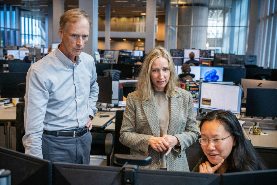 Det blitt to eller tre rentekutt i år, men så sier Norges Bank stopp, ifølge sjeføkonom Kjersti Haugland, her omgitt av makroøkonom Kelly Chen og seniorøkonom Kyrre Aamdal, i DNB Markets. Hovedindeksen på Oslo Børs var i fritt fall i de første sekundene etter åpning mandag morgen. DNB Markets seniorøkonom Kyrre Aamdal (venstre), sjeføkonom Kjersti Haugland (midten) og makroøkonom Kelly Chen (høyre) studerer markedsutviklingen. Foto: Ole Berg-Rusten / NTB