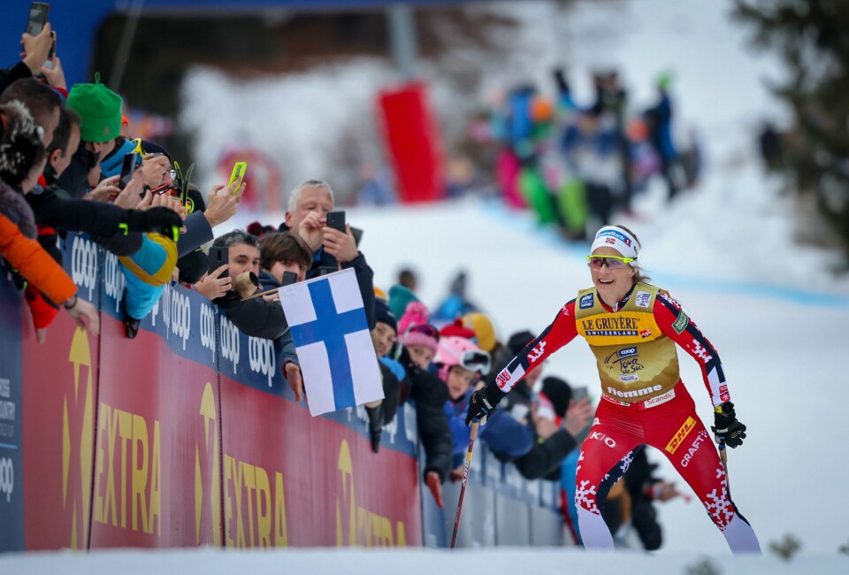 Therese Johaug har øyekontakt med heiagjengen på den siste etappen opp Alpe Cermis i Val di Fiemme.(Geir Olsen/NTB) Therese Johaug har øyekontakt med heiagjengen på den siste etappen opp Alpe Cermis i Val di Fiemme.