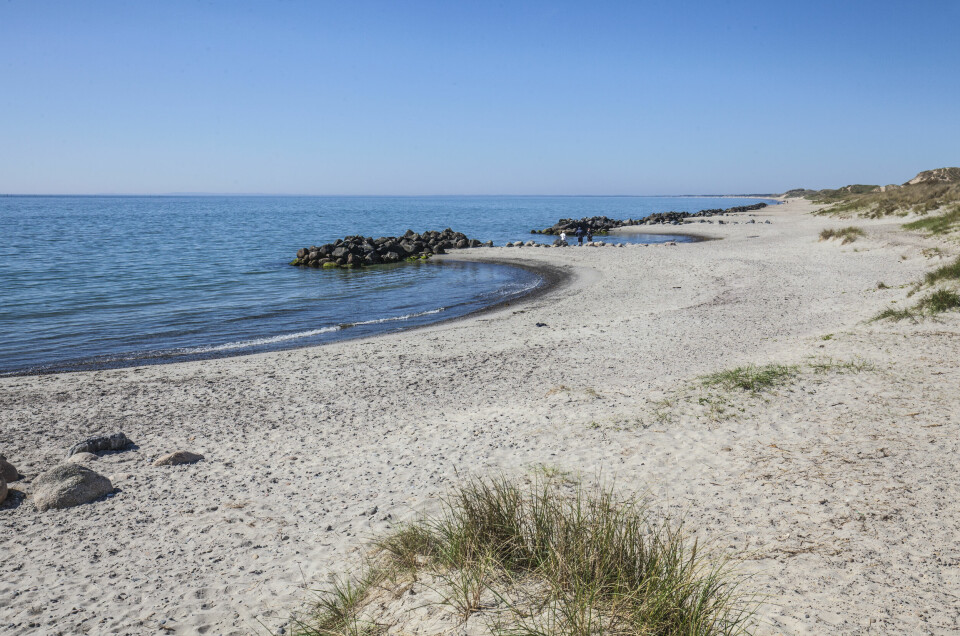 Danske feriehus, og tilhørende sandstrender som denne i Skagen, har vært populært blant nordmenn. Men i fjor falt antall overnatting med en tredel, og den sterke danske kronekursen får skylden. Danske feriehus, og tilhørende sandstrender som denne i Skagen, har vært populært blant nordmenn. Men i fjor falt antall overnatting med en tredel, og den sterke danske kronekursen får skylden. Foto: Halvard Alvik / NTB