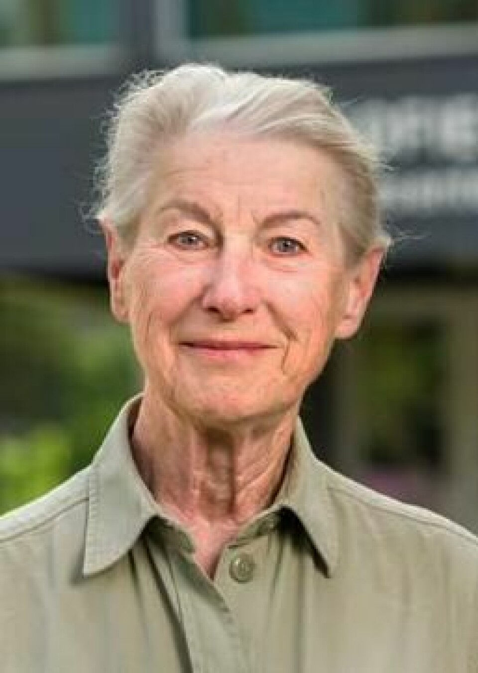 Anna Luise Kirkengen er professor i allmennmedisin og styremedlem i Stine Sofies Stiftelse.(Kjell Inge Søreide) Anna Luise Kirkengen, professor i allmennmedisin og styremedlem i Stine Sofies Stiftelse