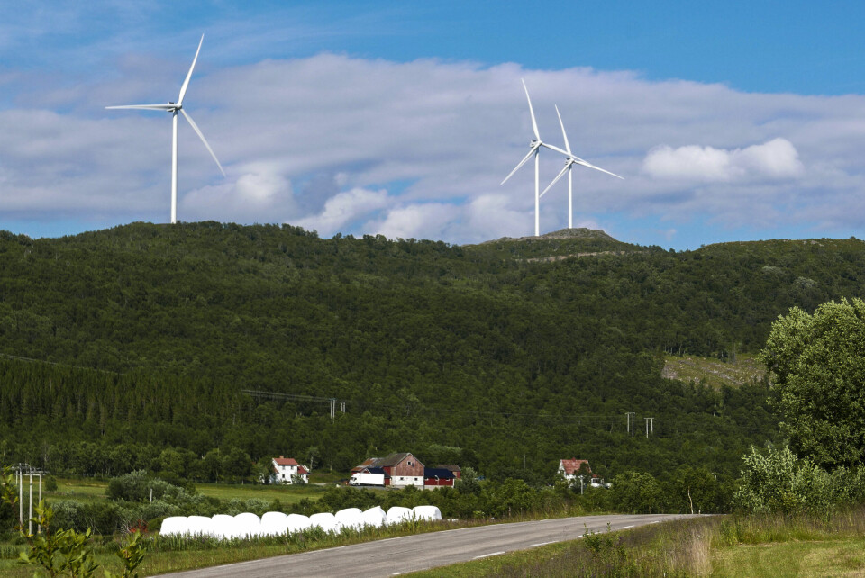 En sammenligning av spørreundersøkelser fra 2024 og 2025 viser at færre nordmenn nå er positive til vindturbiner i egen kommune. Her ser vi vindturbiner i Ånstadblåheia vindpark på Sortland i Nordland. Bildet viser vindturbinene i Ånstadblåheia vindpark på Sortland i Vesterålen. Foto: André Lorentsen / NTB