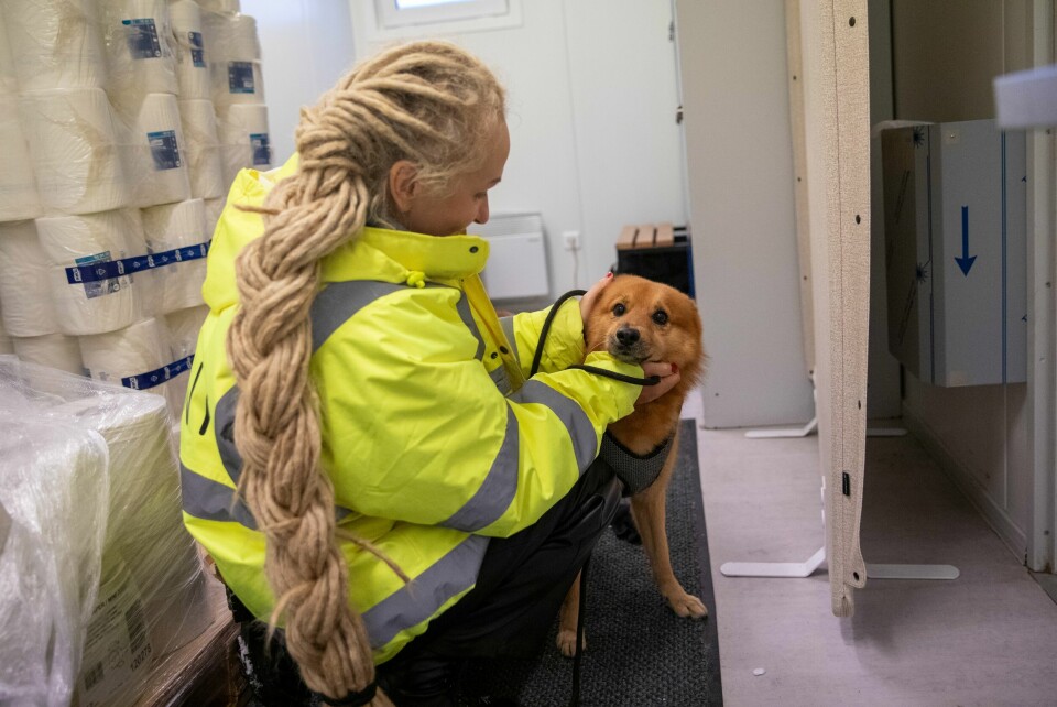 Patrycja Mackowiak med hunden som har kommet til Norge fra krigsherjede Ukraina. Familien som eier den håper noen kan ta vare på den mens de selv bor på mottak.(Kenneth Stensrud) Patrycja Mackowiak med hunden som har kommet til Norge fra krigsherjede Ukraina. Familien som eier den håper noen kan ta vare på den mens de selv bor på mottak.
