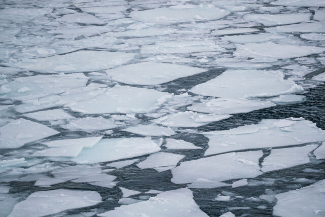 Sjøis som tilsvarer størrelsen på Fastlands-Norge smeltet rundt Svalbard i månedsskiftet januar/februar. Sjøis som tilsvarer størrelsen på Fastlands-Norge smeltet rundt Svalbard i månedsskiftet januar/februar. Foto: Lise Åserud / NTB