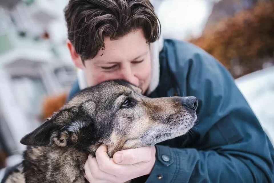 – Da vi hentet han, het han Jack. På vei hjem til Oslo satt han på fanget mitt og gjespet hele veien. Da ble det Jesper, forteller hundeeier Jo Liabø. – Da vi hentet han, het han Jack. På vei hjem til Oslo satt han på fanget mitt og gjespet hele veien. Da ble det Jesper, forteller hundeeier Jo Liabø.Foto: Maud Lervik/FriFagbevegelse