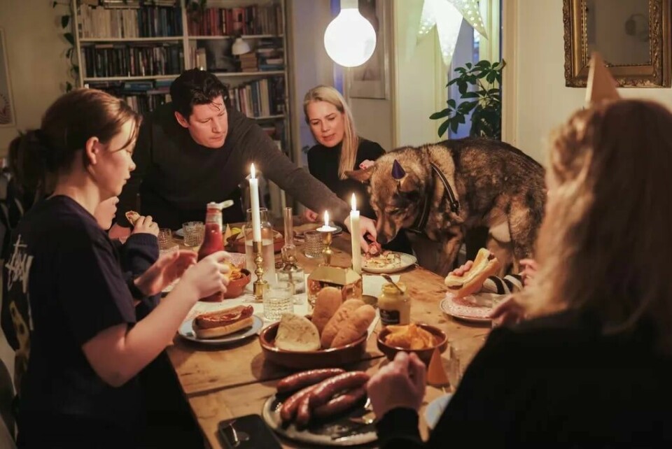 Hele familien er samlet rundt kjøkkenbordet for å feire Jesper. F.v. Jo Liabø, Ingrid Andersson Torske og hunden Jesper. Hele familien er samlet rundt kjøkkenbordet for å feire Jesper. F.v. Jo Liabø, Ingrid Andersson Torske og hunden Jesper.Foto: Maud Lervik/FriFagbevegelse