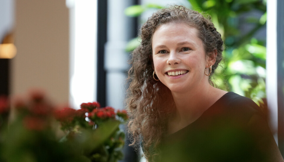 MDGs nestleder Ingrid Liland advarer SV mot å sikre flertall for norgespris etter at Senterpartiet og Arbeiderpartiet ble enige om å sette opp forbrukstaket.