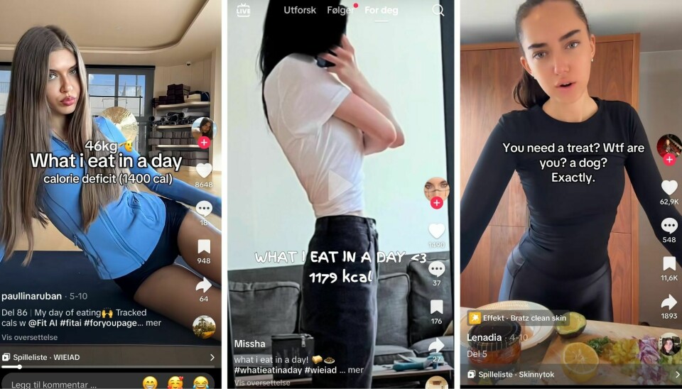 Noen eksempler på innlegg som er publisert under emneknaggen #skinnytok, eller varianter av denne, på TikTok.
