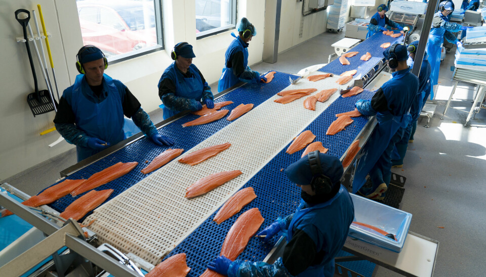 Fiskeindustri. Illustrasjonsbilde.