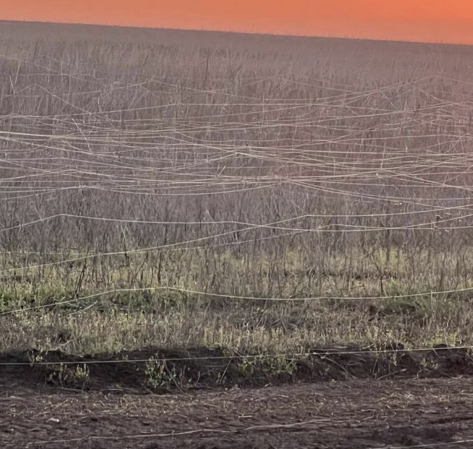 Et bilde fra slagmarken viser omfanget av problemet med optiske fiberkabler som ligger igjen på bakken. Et bilde fra slagmarken viser omfangen av problemet.