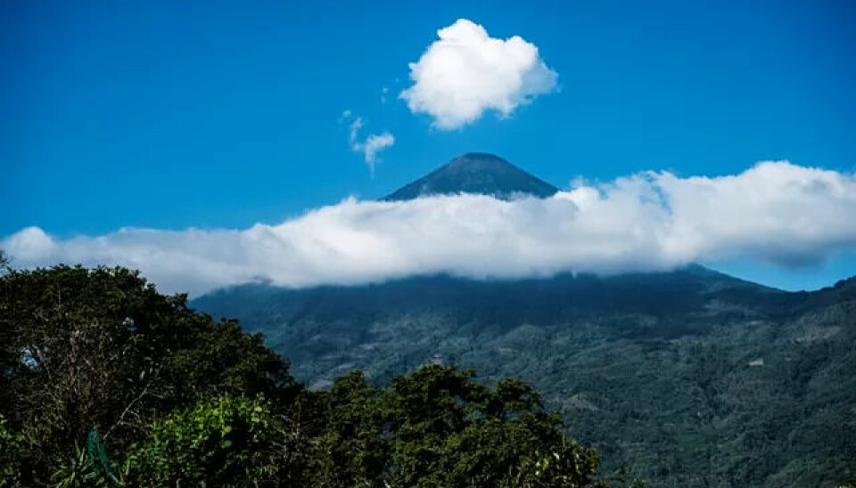 Vulkaner er ikke et sjeldent skue i Guatemala. Det finnes 37 vulkaner i landet og åtte av dem er aktive, blant annet denne: Volcán Atitlán.