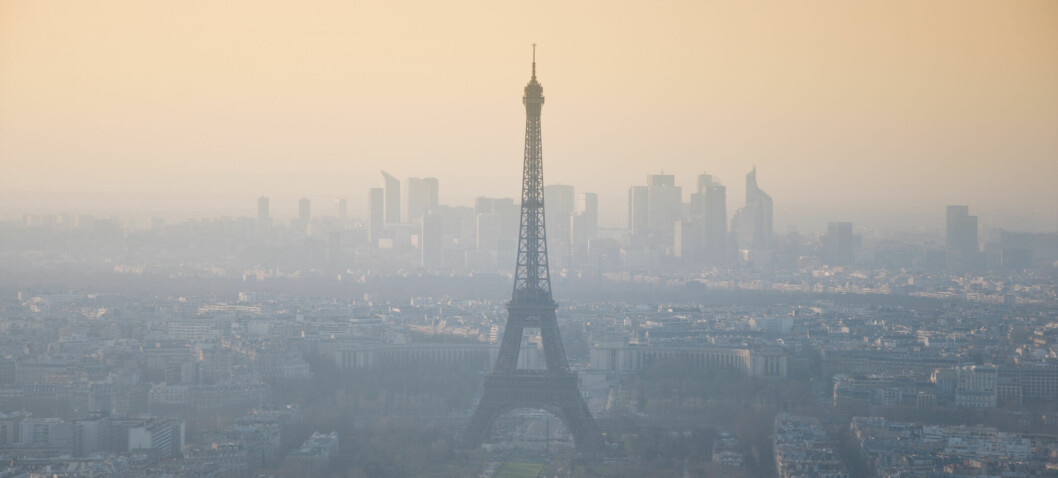 Paris tar grep
