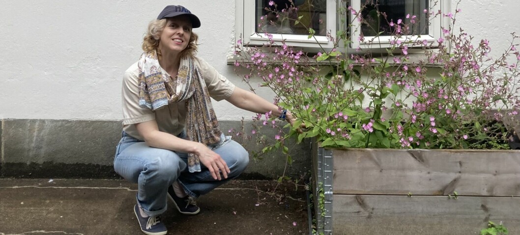 Johanne var 42 år. Utbrent. Så tenkte hun: – Hva om jeg er autist?