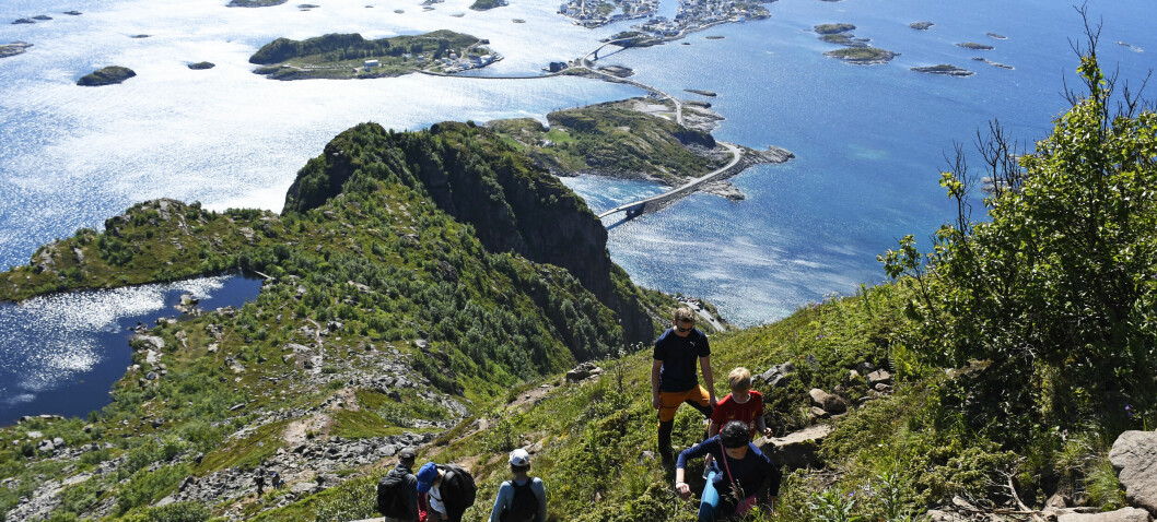 Reiselivssjef ut mot saker om «turist-kaos» i Lofoten: – Turistene skremmes vekk