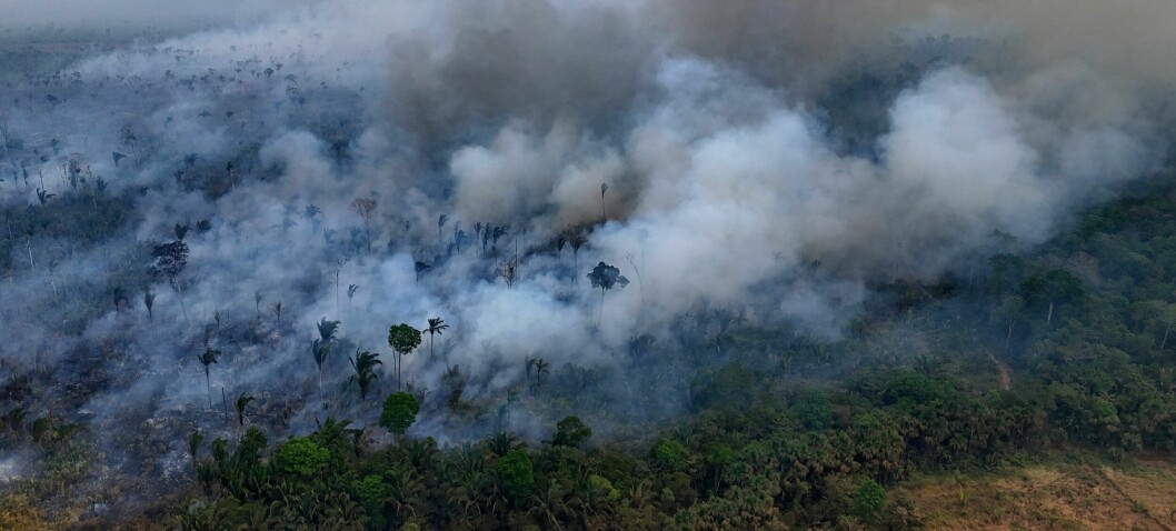 Regnskogen i Amazonas står overfor nye trusler