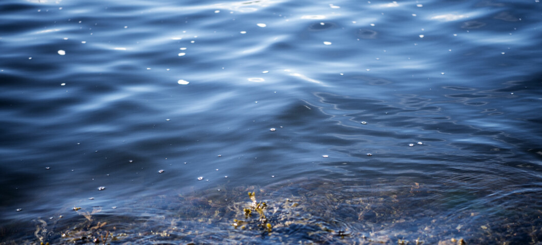 Nye fiskeritiltak trer i kraft i Oslofjorden